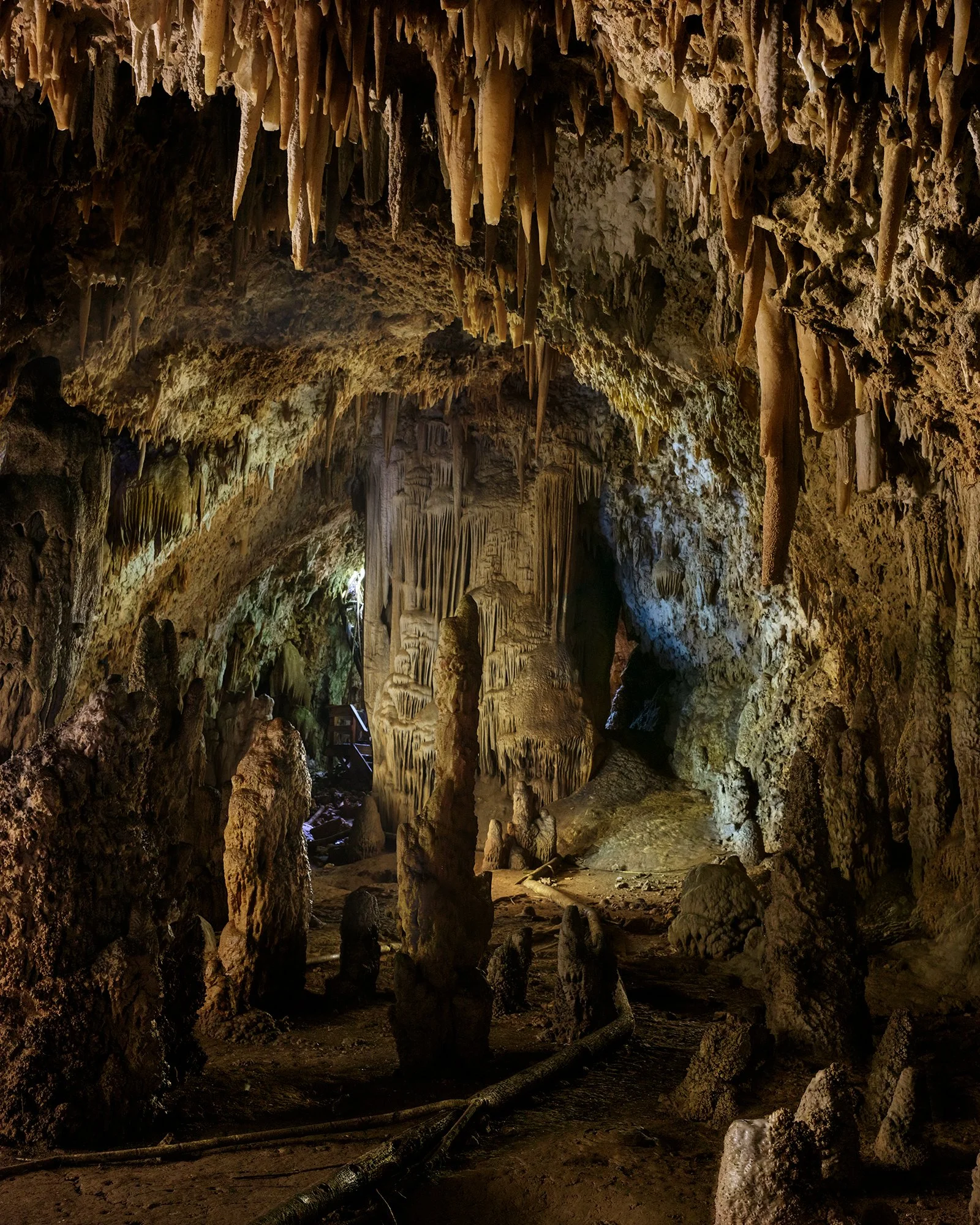 Cueva del Viento, Puerto Rico (2021)